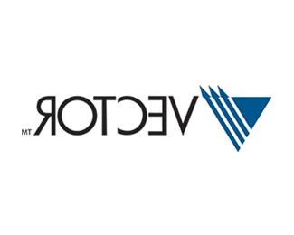 Vector Impact company logo